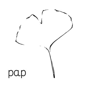 papdesign